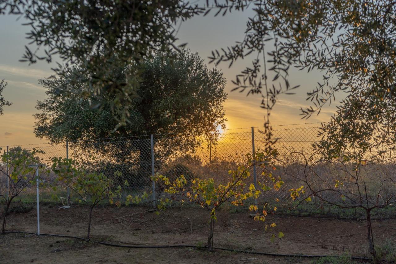 פיניקונטה Abelia Luxurious Villas מראה חיצוני תמונה