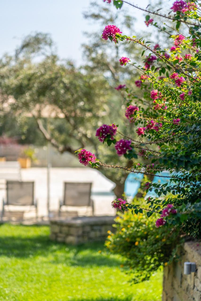 פיניקונטה Abelia Luxurious Villas מראה חיצוני תמונה